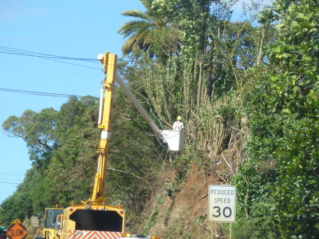 Maui Jungalow Hana Highway Tree Trimming and Ethnic Jokes