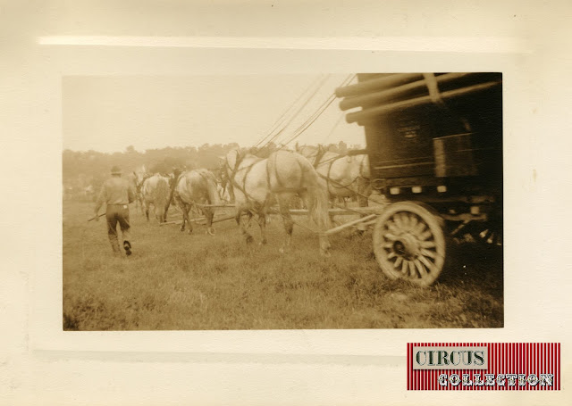 Chevaux tractant une roulotte a matériel du Cirque Hagenbeck Wallace