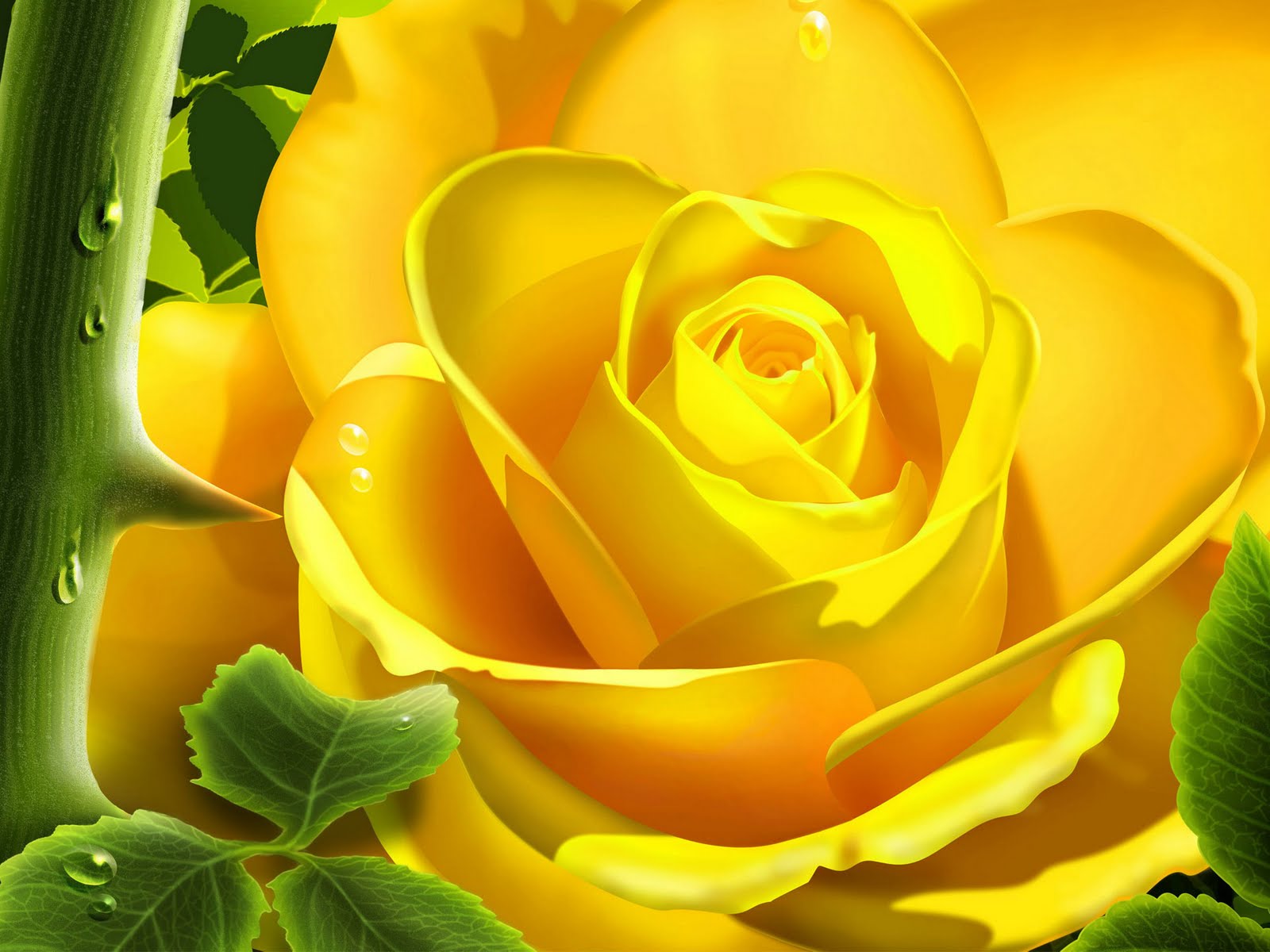 yellow rose wallpapers |Clickandseeworld is all about Funny|Amazing