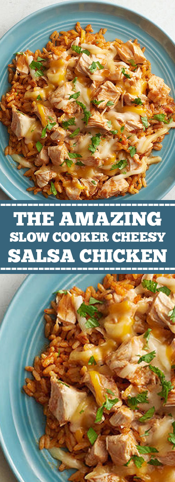 The Amazing Slow Cooker Cheesy Salsa Chicken FOOD RECIPES