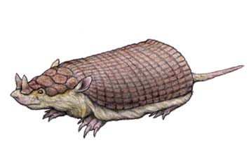 la mulita cornuda prehistorica de argentina Peltephilus