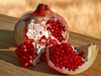 Pomegranate Puzzle Game