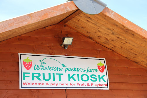 Summer Strawberry Picking At Whetstone Pastures Farm In
