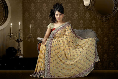 Embroidered Sarees Collection 2011, Hand Embroidered Sarees Online