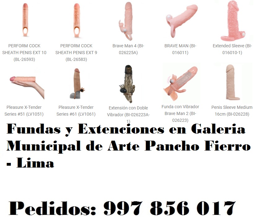 en Galeria Municipal de Arte Pancho Fierro - Lima