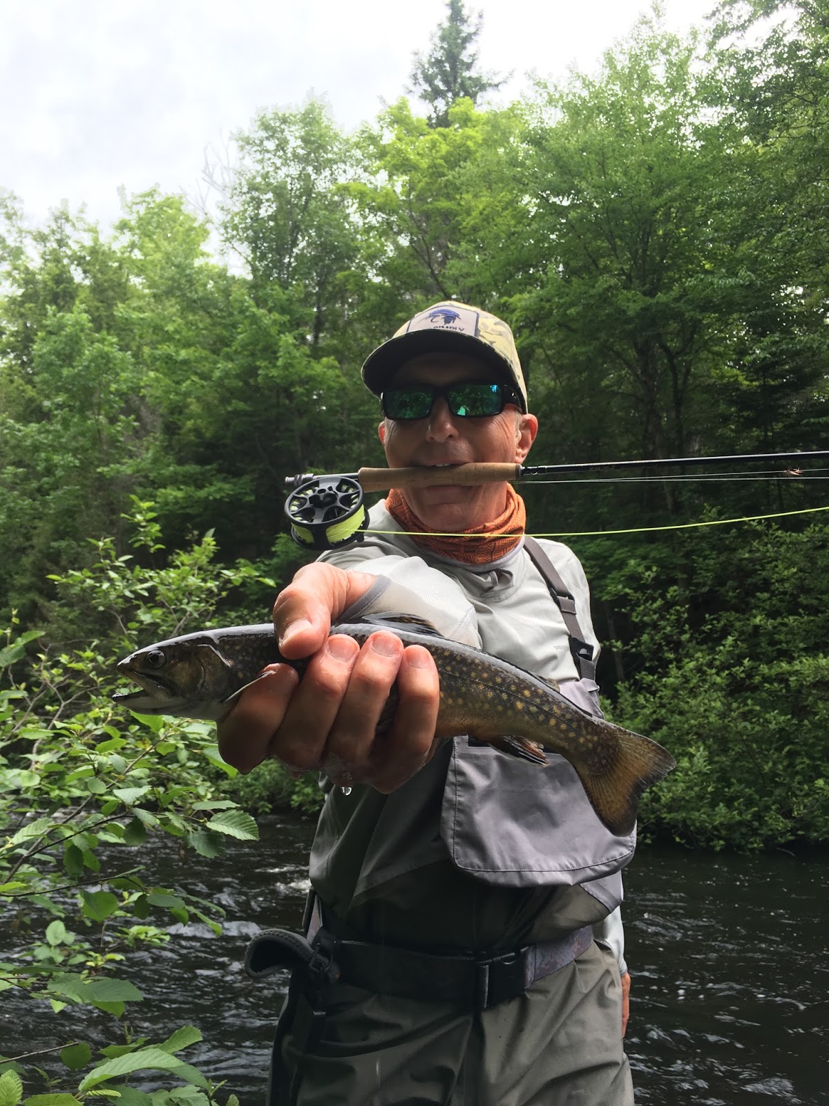 Trout Creek, MI Further Adventures in the Upper Peninsula