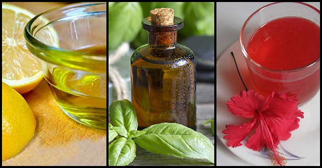 Some Of The Best DIY Hair Oil To Try Some Of The Best DIY Hair Oil To Try