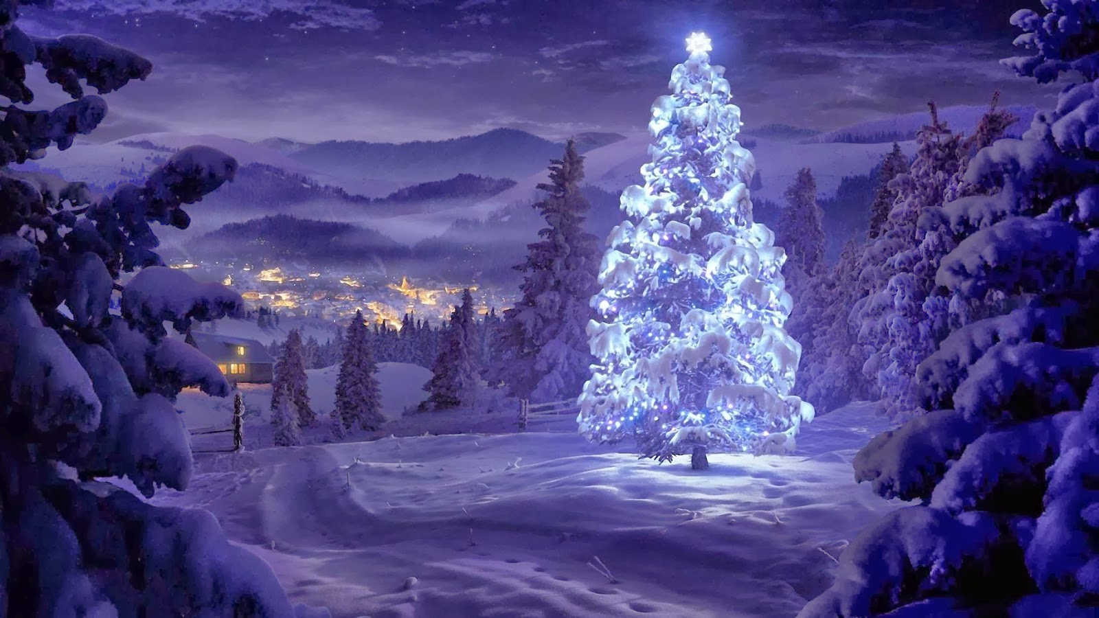 200+ Latest Concepts of Christmas Tree : Very Hight Resolution Galler ...