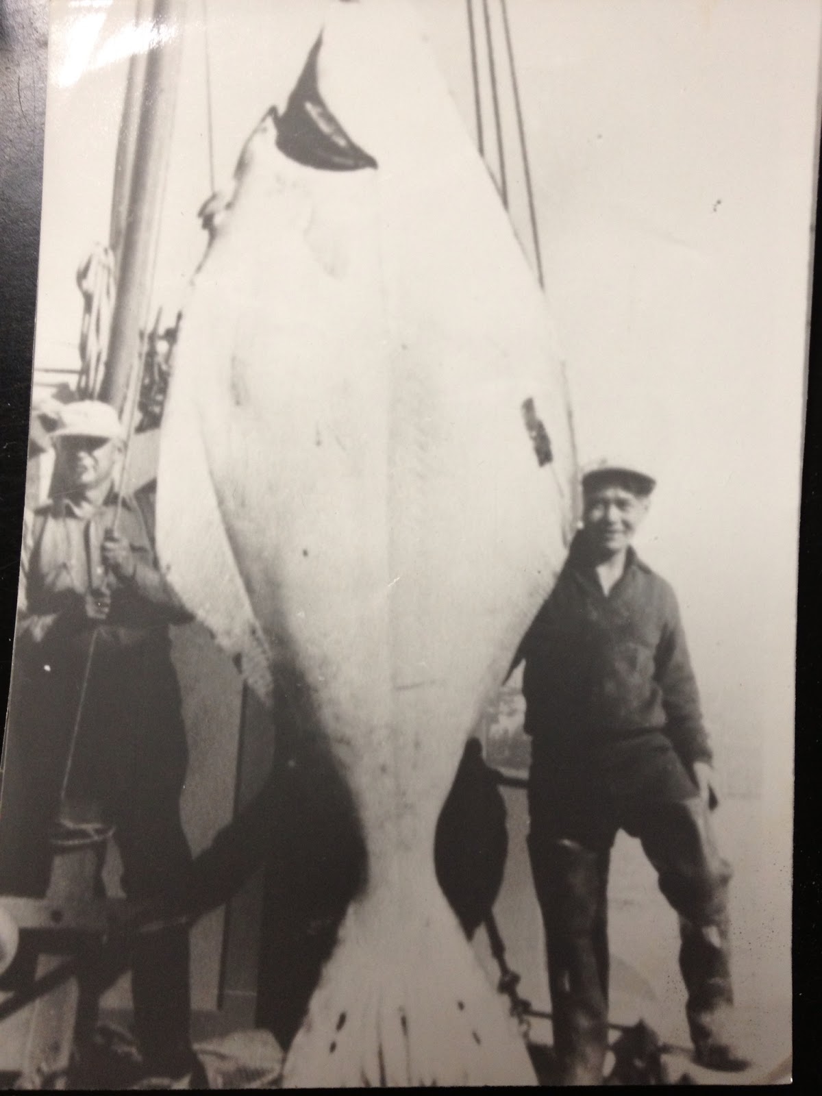 Judy Labi's Kitchen Japanese Tempura with Halibut and Vegetables