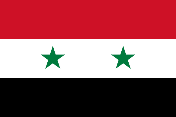 Solidaridad con Siria