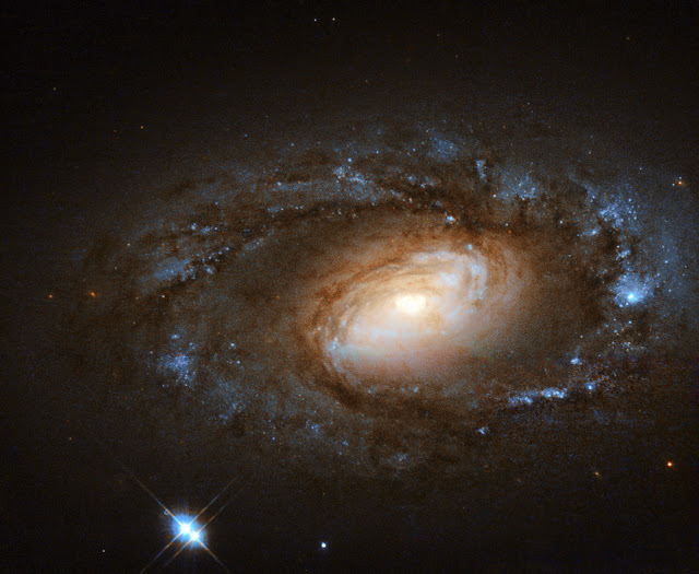 Spiral Galaxy NGC 4102