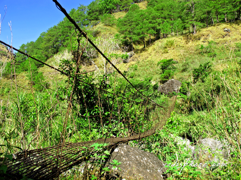 Monkey metal bridge used in crossing Eddet River at the Akiki Trail 