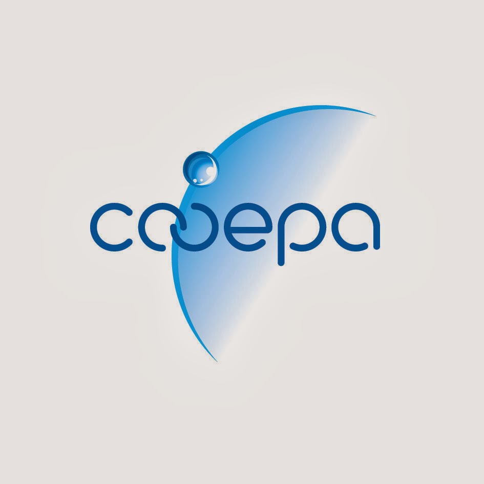 Международные волонтерские организации: sfera. Банк сфера. Проект сфера лого. Ист сфера. Ист сфера.