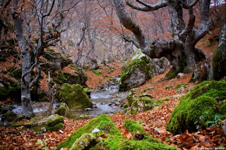 Faedo de Ciñera, León.Nos queda Portugal. Por Santiago Tracón