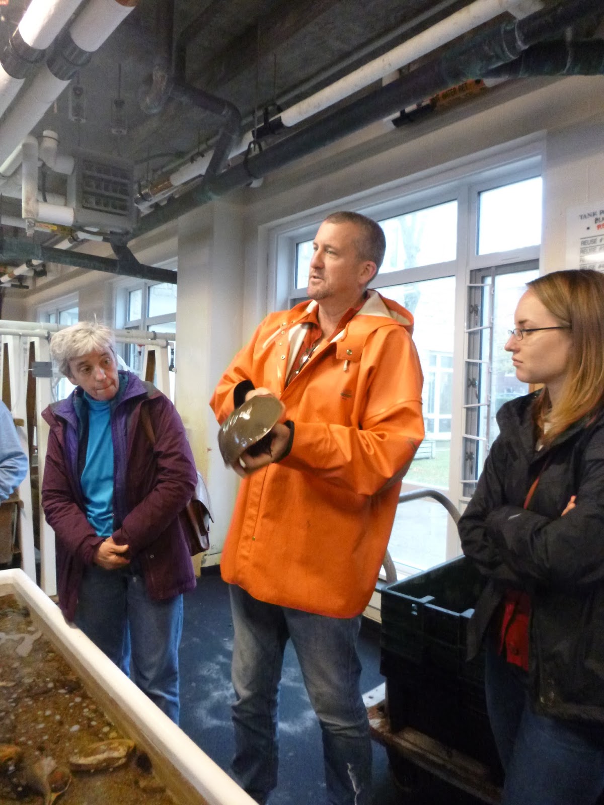 An Ocean Lover in Maine Disneyland for Marine Biologists (MBL's Marine