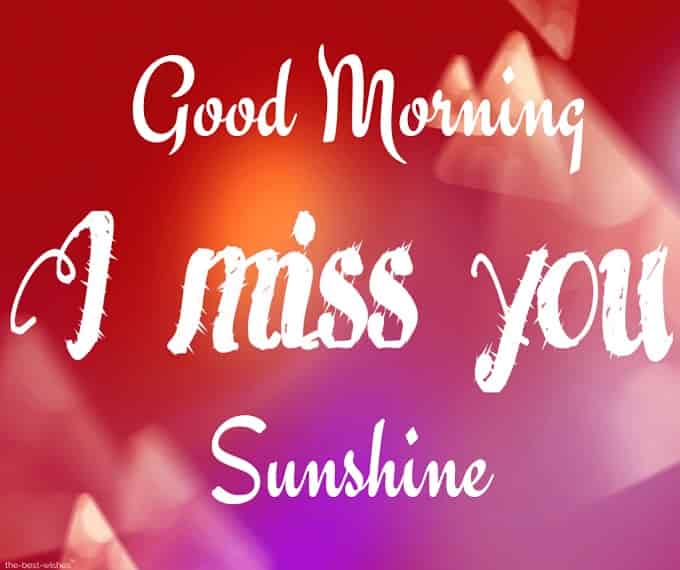 good-morning-i-miss-you-sunshine good morning i miss you sunshine