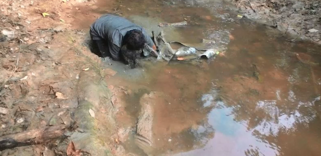 Miris!! Bocah 4 Tahun Diperkosa Lalu Dikubur Hidup-hidup di Sungai Berlumpur Papua