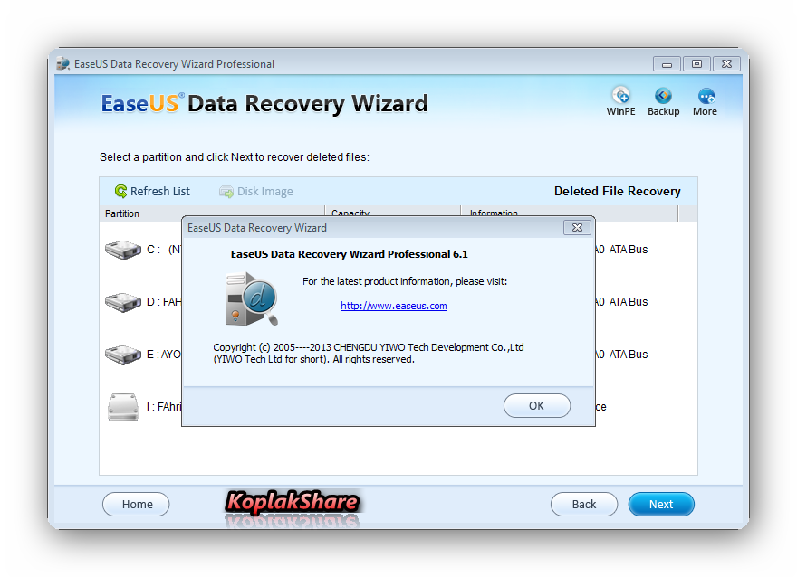Лицензия easeus data recovery. Лицензия для EASEUS data Recovery Wizard. EASEUS data Recovery Wizard professional ключи. EASEUS data Recovery. EASEUS data Recovery Wizard Pro.