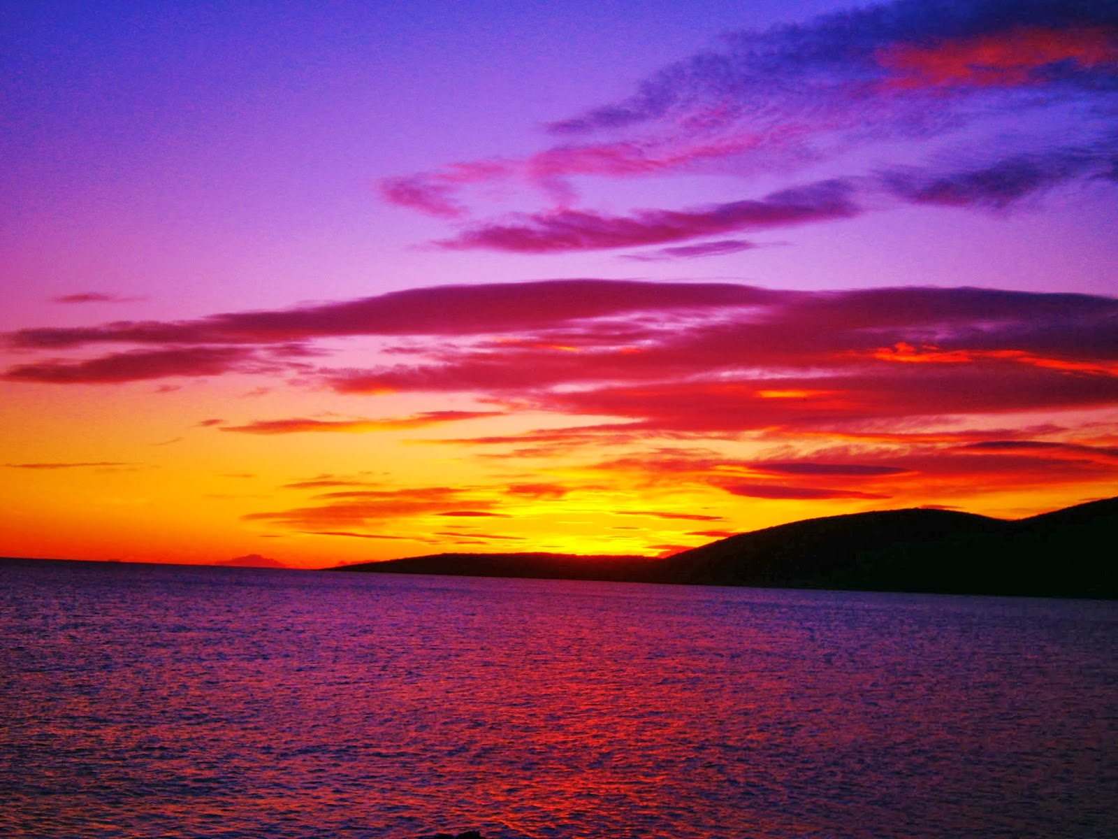 KapernauM: јануар 2014