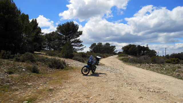 GathoCarrasqueta_005.JPG