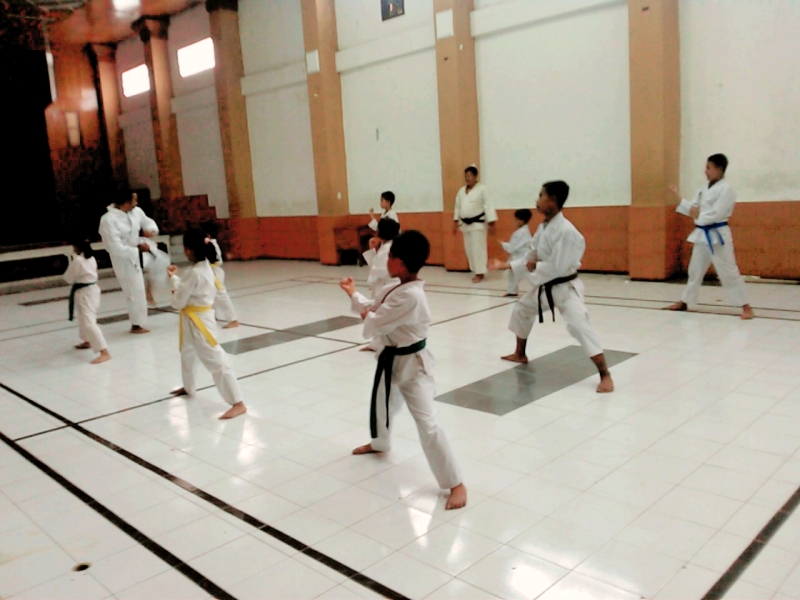 Каратэ Dojo
