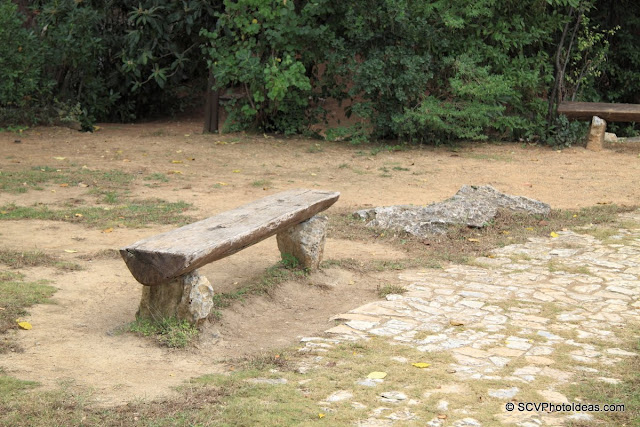 Trunk bench in empty park