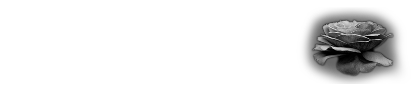 Solitary Photographic