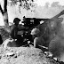 ব্যাটল অব বিলোনিয়া: মুক্তিবাহিনী যেদিন ভূপাতিত করেছিল স্যবর জেট