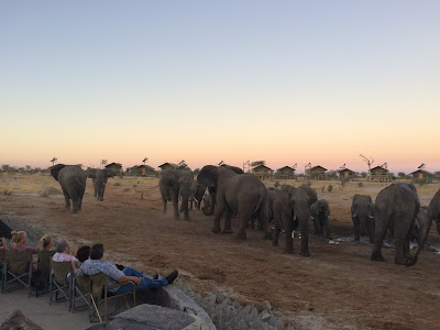 Día 13: De Kasane a Nata. Elephant Sands Lodge - Botswana y Cataratas Victoria. Viaje por libre de 19 dias (12)