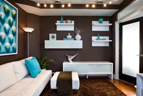 Laguna owners, the paint color 2014