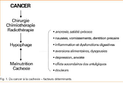 #thelancetoncology #CBNPC #anorexie #cachexie #ghreline #anamoreline Anamoreline chez patients atteints cancer poumon petites celles cachexie (ROMANA ROMANA résultats deux essais phase randomisés double aveugle