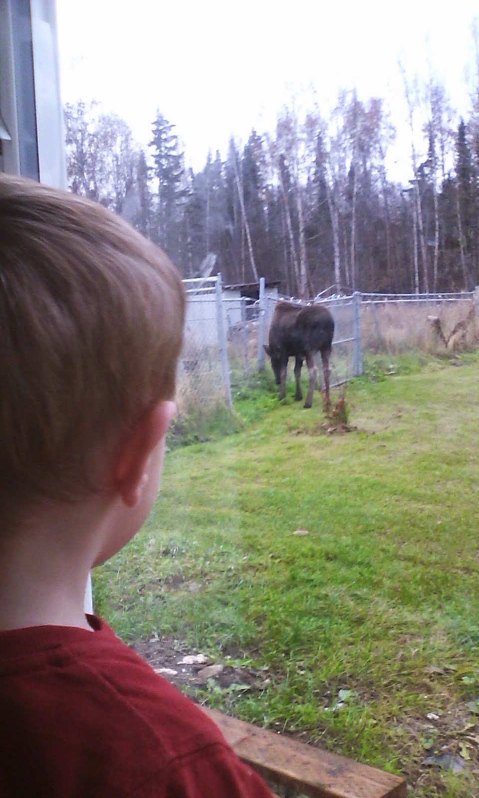 The Labrecque Family