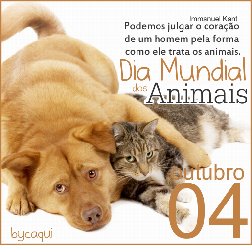 Caquiblog... Dia mundial dos animais é HOJE, 04 de Outubro! Caquiblog... Dia mundial dos animais é HOJE, 04 de Outubro!