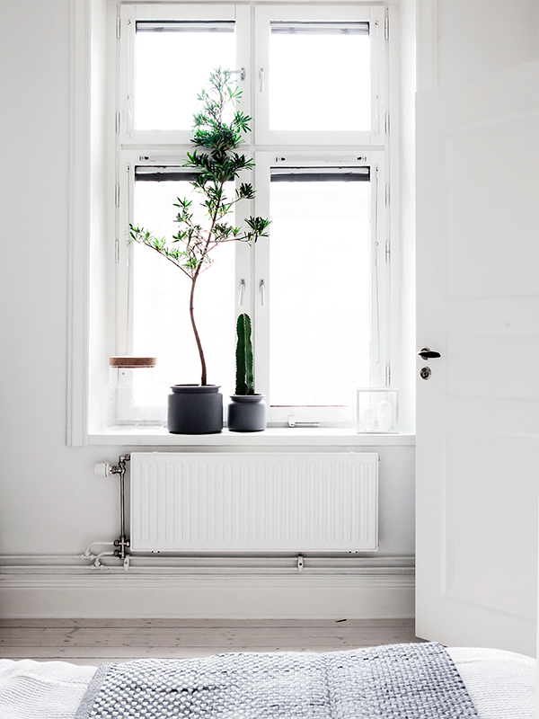 monochrome apartment.
