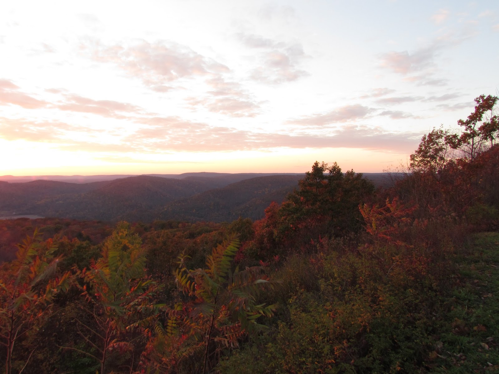 High Knob Overlook and Dry Run Falls Loyalsock State Forest, Sullivan