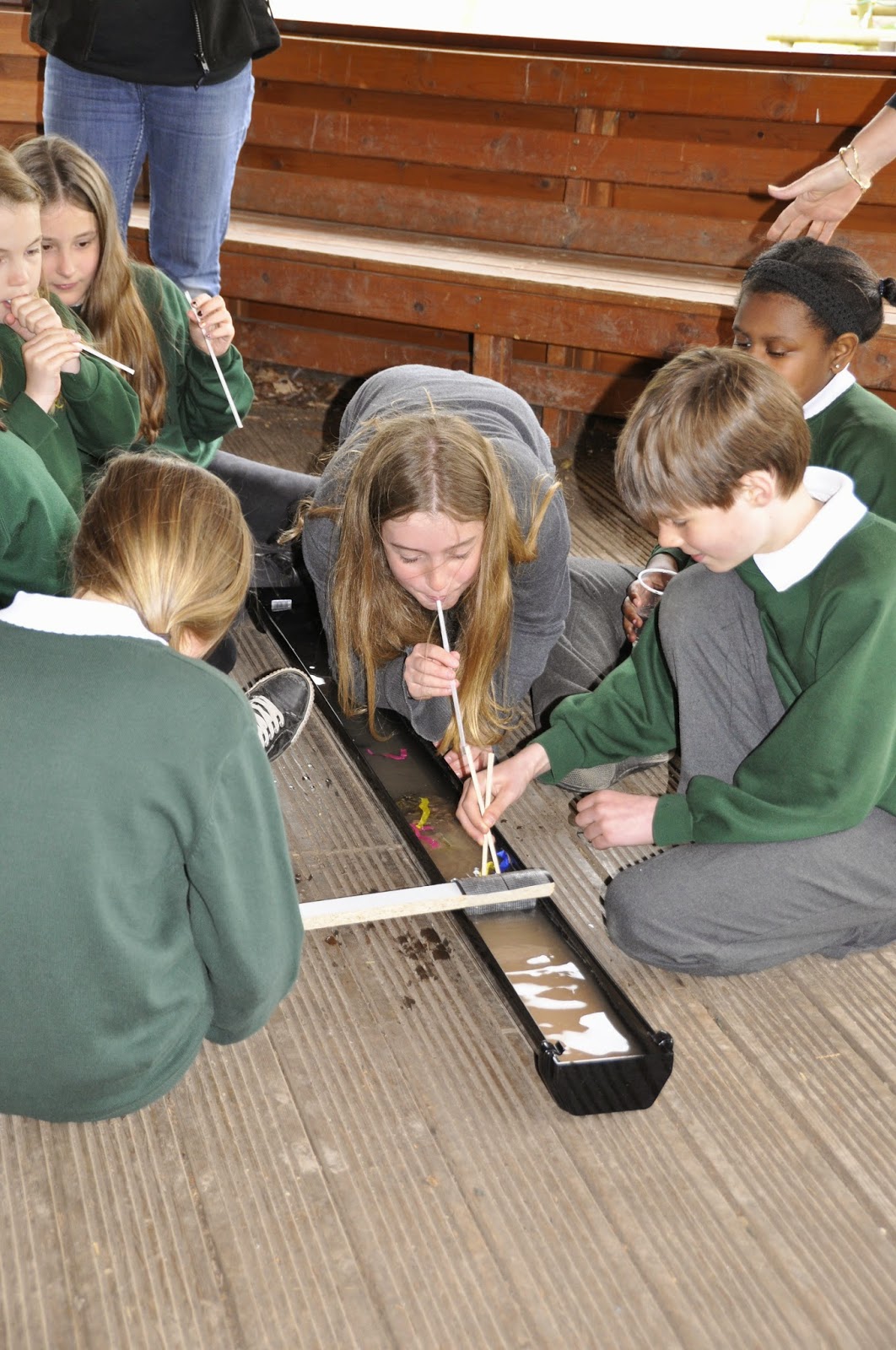 AWT Wild Schools blog: Spawn to be Wild