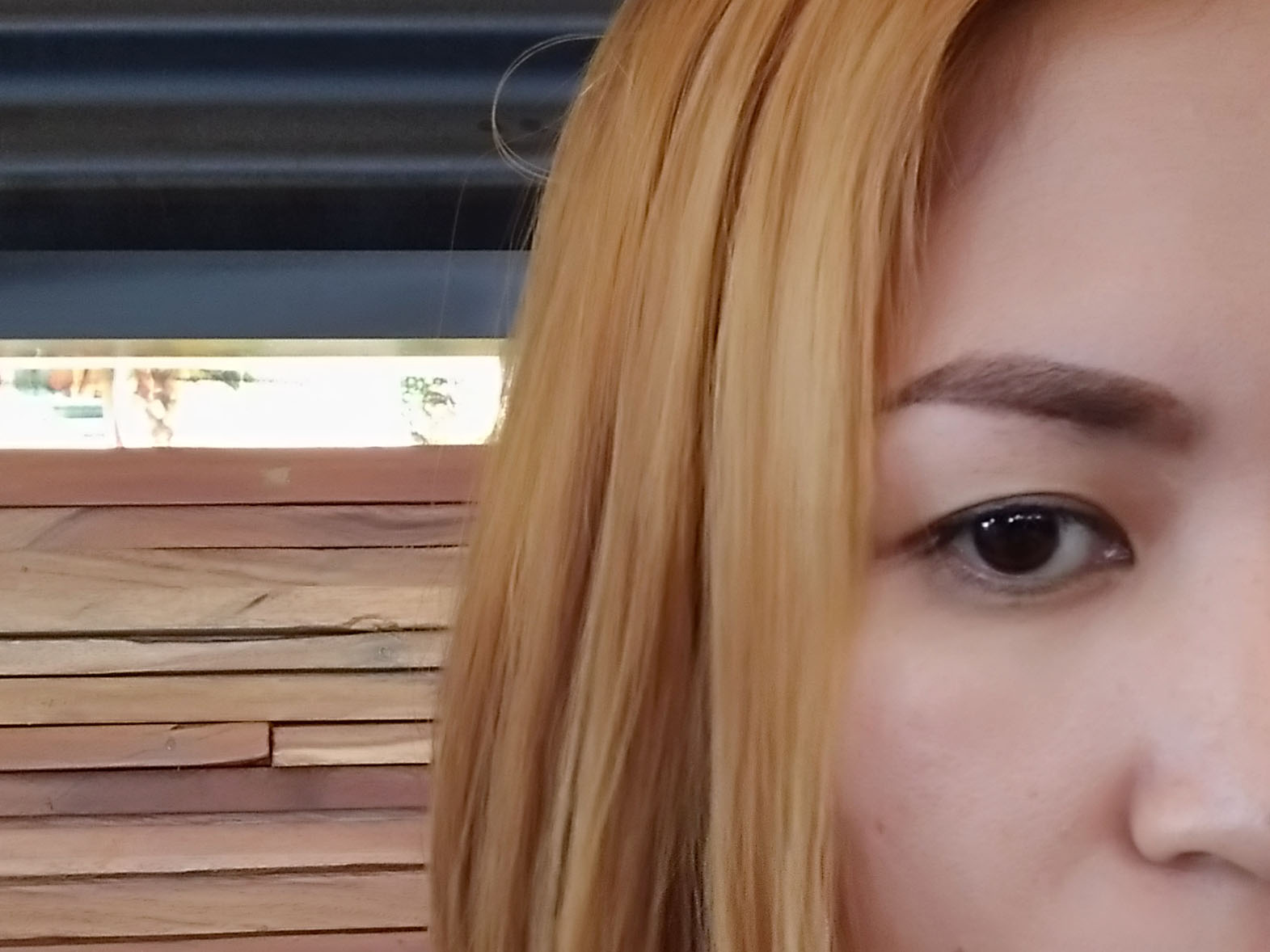 Piaya Diary March 2017