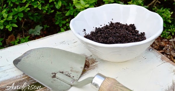 How to Use Coffee Grounds as Garden Fertilizer | ANDERSON+GRANT