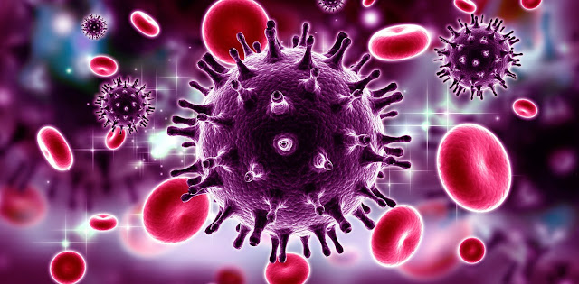 HIV virus (Illustration) HIV virus (Illustration)