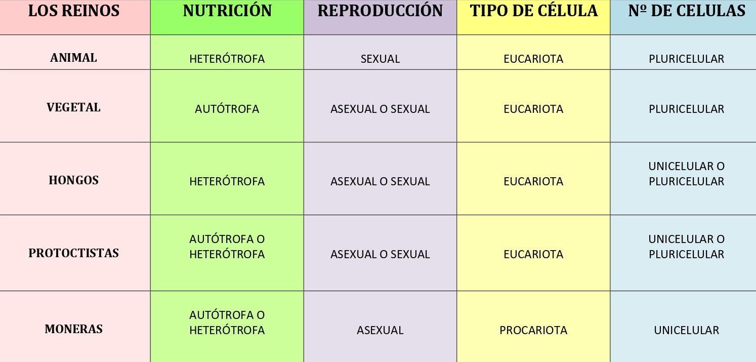 PATA, PÉTALO Y PICO: LOS 5 REINOS