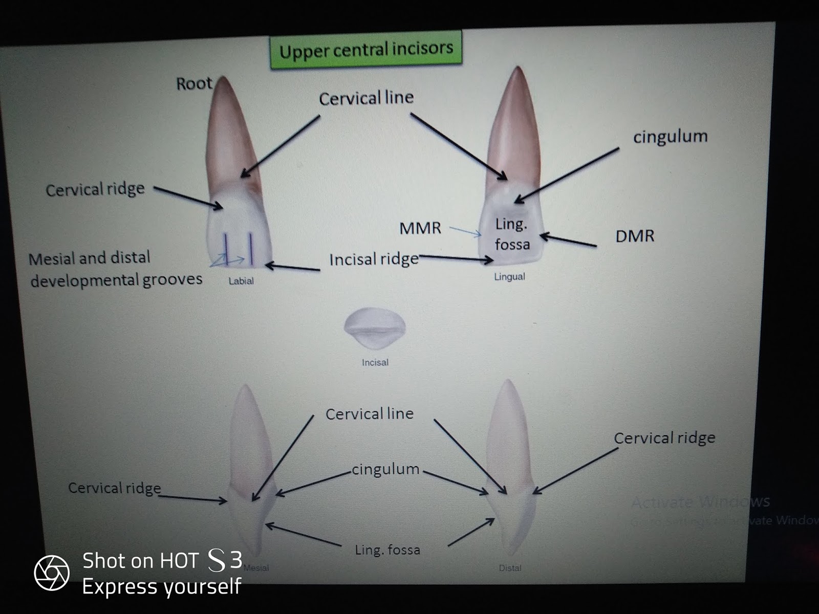 موقع كنيسة مارجرجس بالعزية