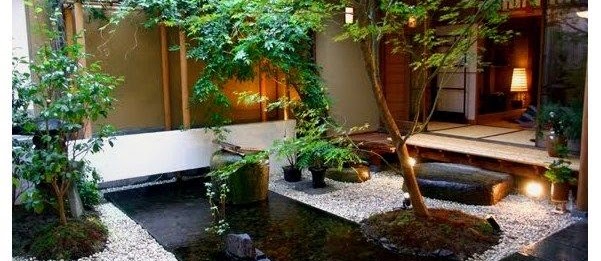 Cara Membuat Kolam Ikan Koi Untuk Pemula Infoikan Com