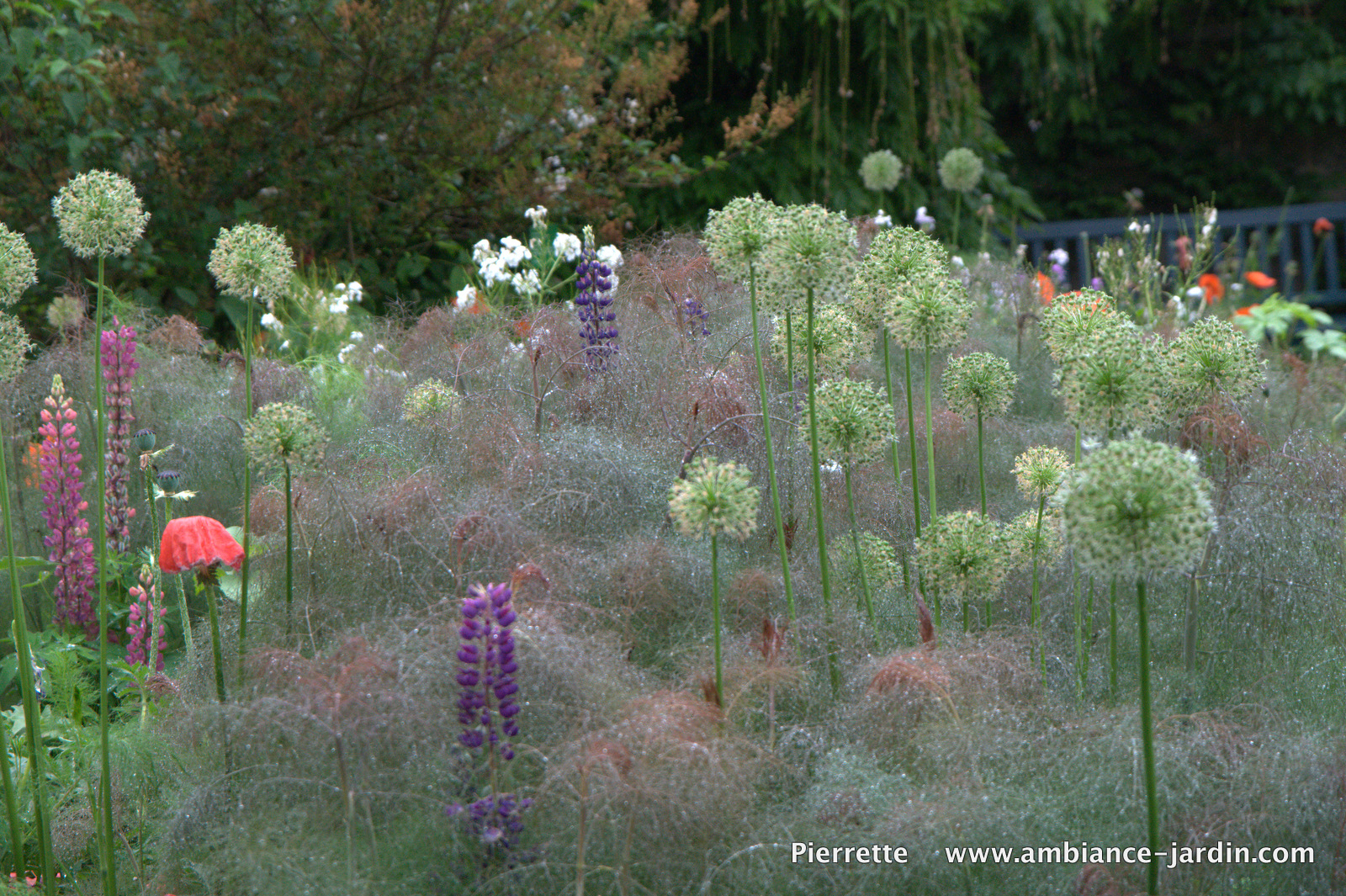 AmbianceJardin Au Hermannshof