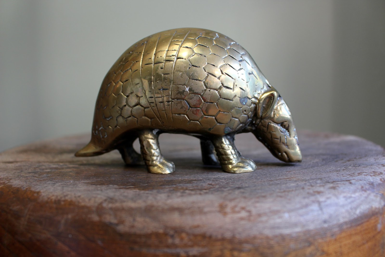haven't you always wanted a brass armadillo?... ladybird & fellow