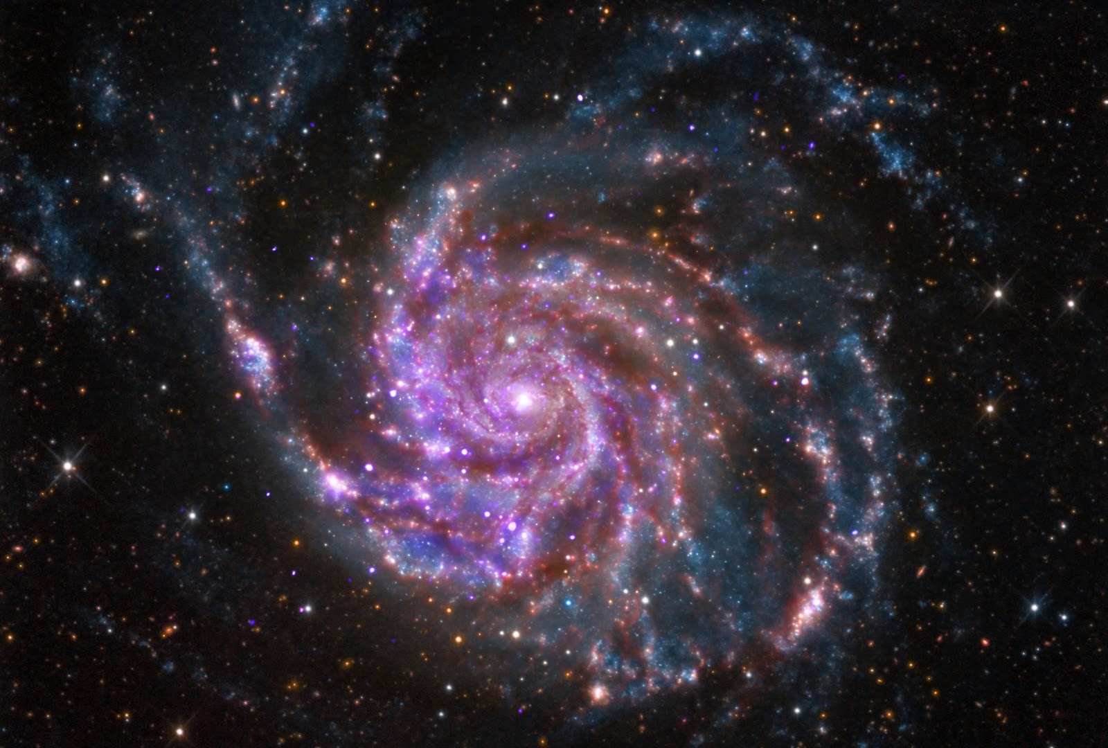 pinwheel galaxy amateur image