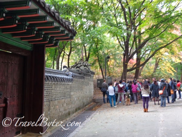 Changdeokgung Palace (창덕궁) and Secret Garden Tour in Autumn! 