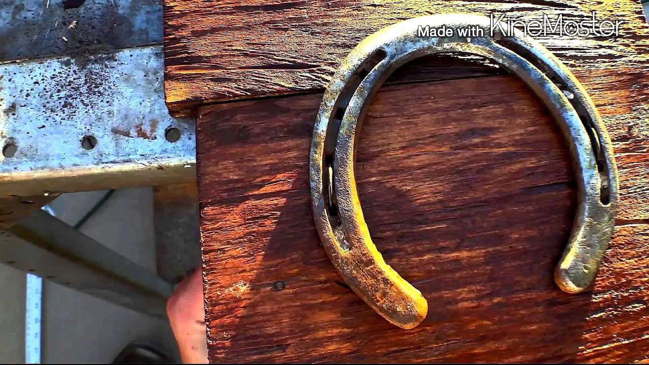 Horseshoe Horseshoe Position Horse Choices