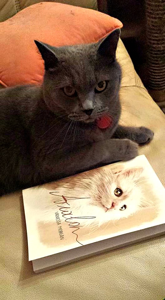 literary cats