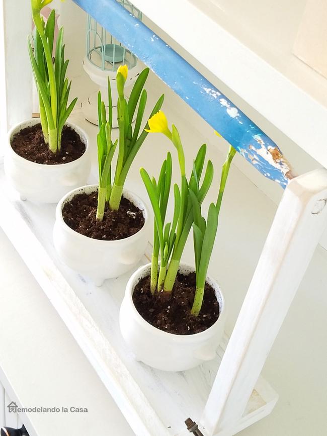 DIY Wooden Plant Tray Spring Decor Remodelando la Casa