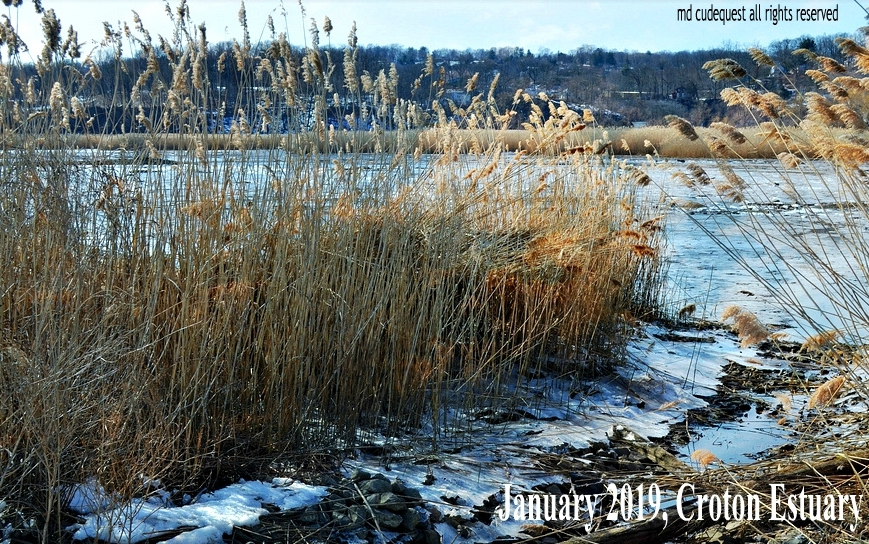 EverythingCroton AND NOW...SOME MORE WINTER WEEKEND 2019 ADVENTURES IN